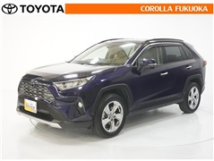 RAV4 G