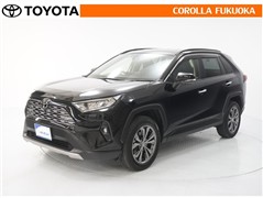 RAV4 G