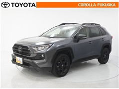 RAV4アドベンチャーオフロード2