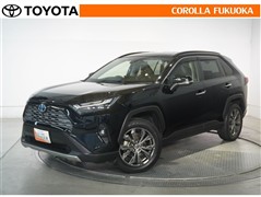 RAV4 ハイブリッド G*