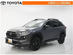トヨタ RAV4アドベンチャーオフロード2