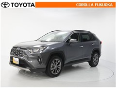 RAV4 G