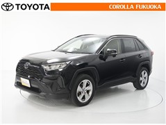 RAV4 X*