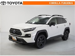 RAV4HEVアドベンチャーオフP2