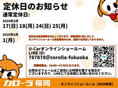 C-HRHVGモードネロセーフティ+*