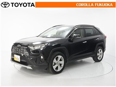 RAV4 G