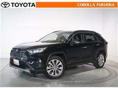 RAV4 G Zパッケージ