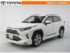 ＲＡＶ４