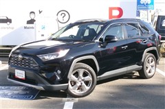 RAV4 G
