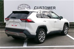 RAV4 G Zパッケージ