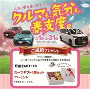 ヴェルファイア*Z プレミア