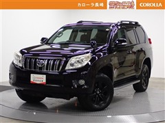 ランドクルーザープラド TZ-G