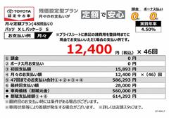 パッソ XLパッケージ S