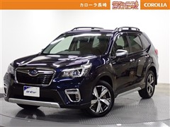 フォレスター アド ルーフチャク