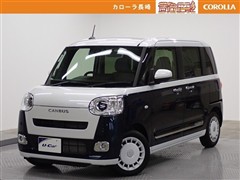 ムーヴキャンバス*ストライプス G