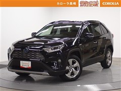 RAV4 HEV G