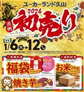 ピクシスジョイ F G SA3 P