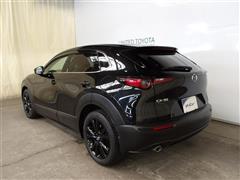 CX-30 20Sプロアクツーリング