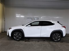 UX250H F SPORT