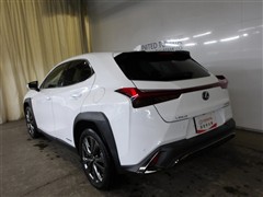 UX250H F SPORT