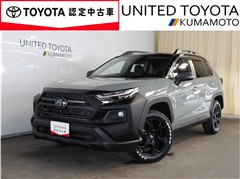 RAV4HV ADオフロードPKG2