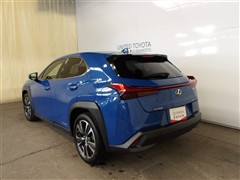 UX250h バージョンL