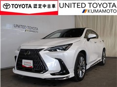 NX250 バージョンL