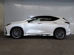 NX250 バージョンL