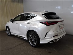 NX250 バージョンL