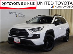 トヨタ RAV4 AD オフロードPKG2