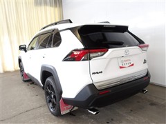 RAV4 AD オフロード PKG2