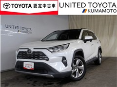 RAV4 G