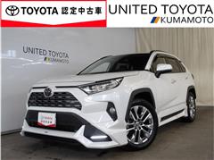 RAV4 G Zパッケージ