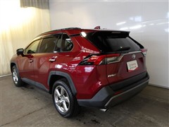 RAV4 G