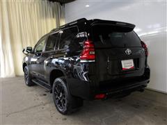 ランクルプラドTX L PKマットB