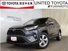 RAV4 X