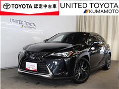 UX250h バージョンC