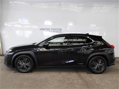 UX250h バージョンC