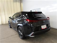 UX250h バージョンC