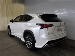 NX300h Iパッケージ