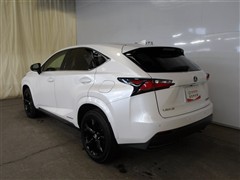 NX300h アーバンスタイル