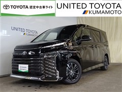 ヴォクシー SーG