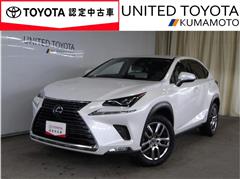 NX300h バージョンL