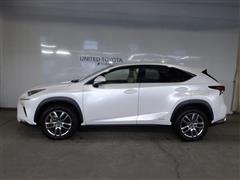 NX300h バージョンL