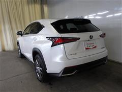 NX300h バージョンL