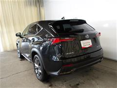 NX300h Fスポーツ