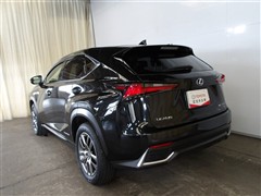 NX300h バージョンL