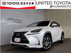 NX300h Iパッケージ