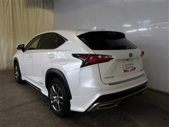 NX300h Iパッケージ