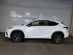 NX300h Fスポーツ